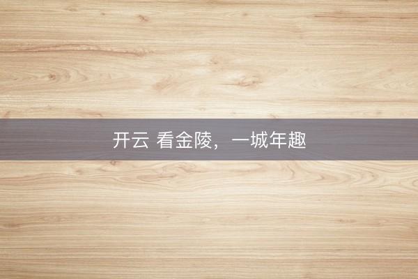 開云 看金陵，一城年趣
